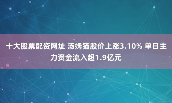 十大股票配资网址 汤姆猫股价上涨3.10% 单日主力资金流入超1.9亿元